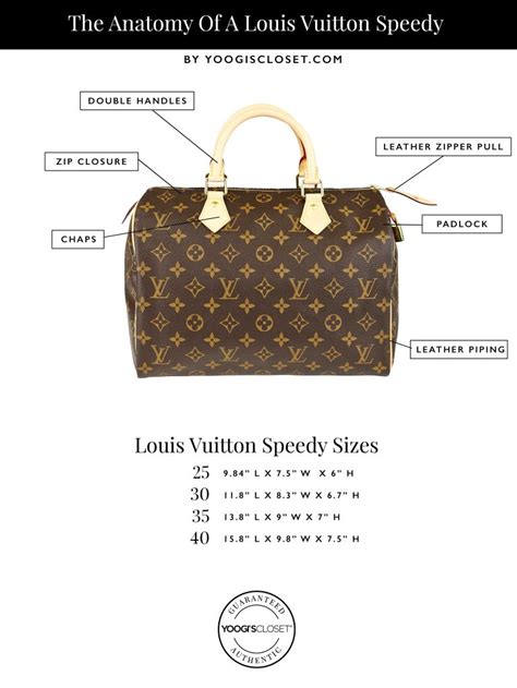 louis Vuitton Speedy bag dimensions